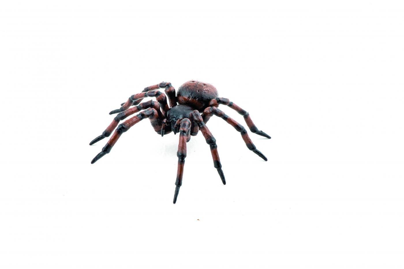 Papo Gemeine Spinne 50292