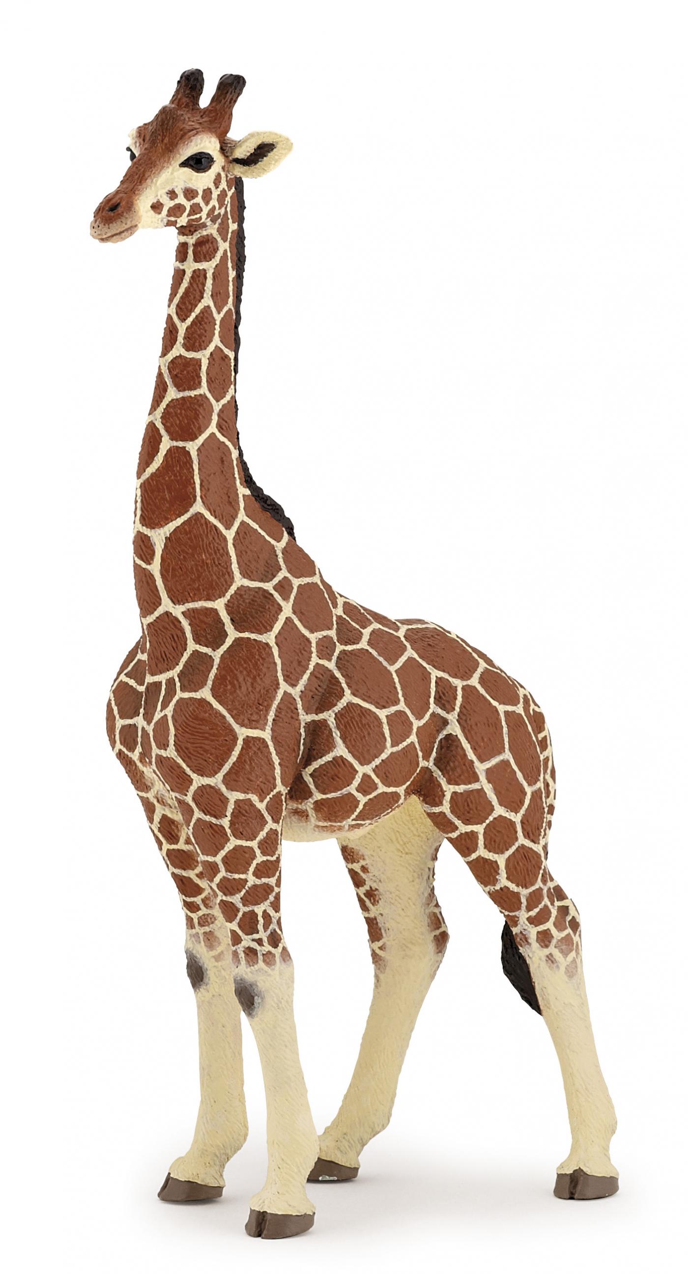 tierfiguren spielzeug Papo 50149 Giraffenmännchen - Tierfiguren - Figuren bei spielzeug
