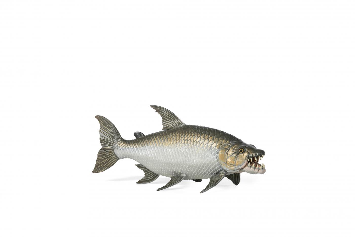 Papo Goliath Tigerfisch 56065