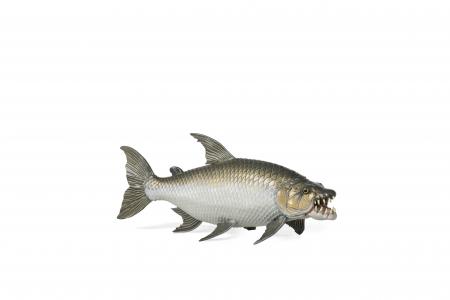 Papo Meereswelt: Papo Goliath Tigerfisch 56065