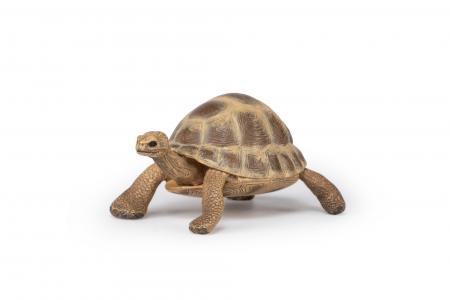 Papo Wildtiere der Erde: Papo Griechische Landschildkr�te 50264