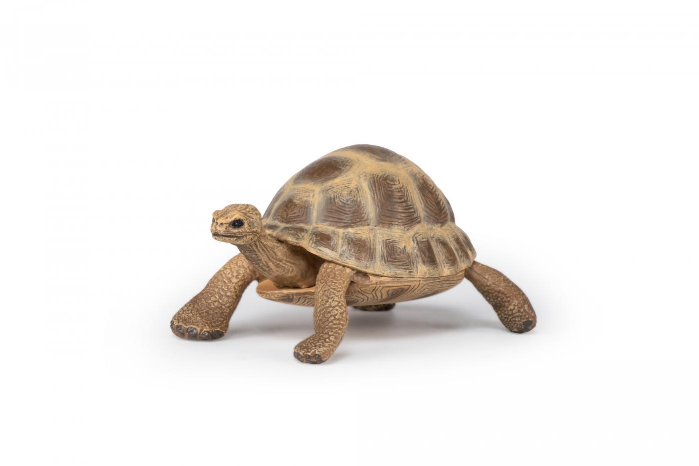 Papo Griechische Landschildkr�te 50264