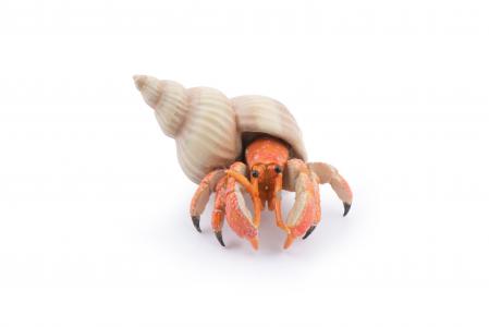 Papo Marine Creatures: Papo Hermit crab 56054