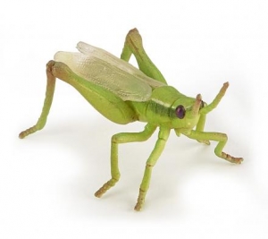 Papo Wildtiere der Erde: Papo Heuschrecke 50268