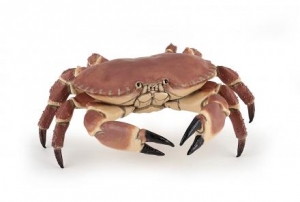 Papo Meereswelt: Papo Krabbe 56047