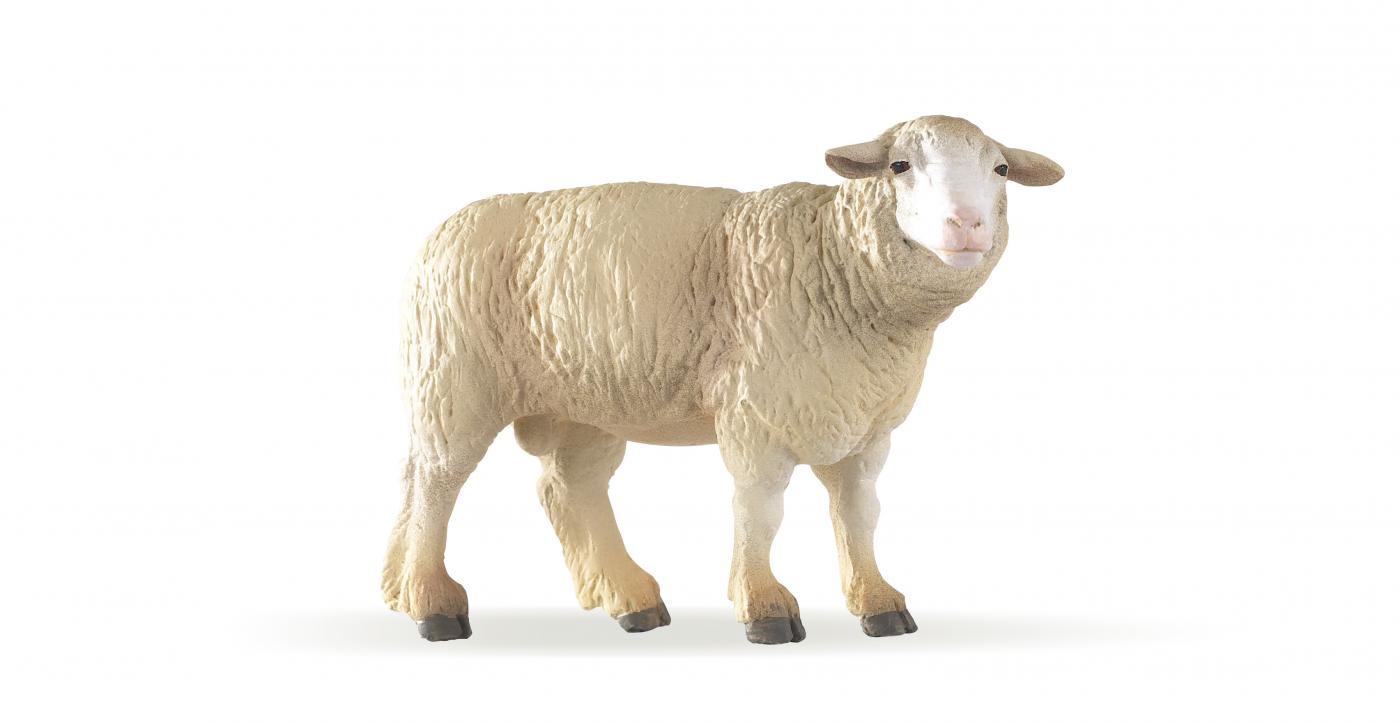 Papo Merinos sheep 51041 approx.8x6cm