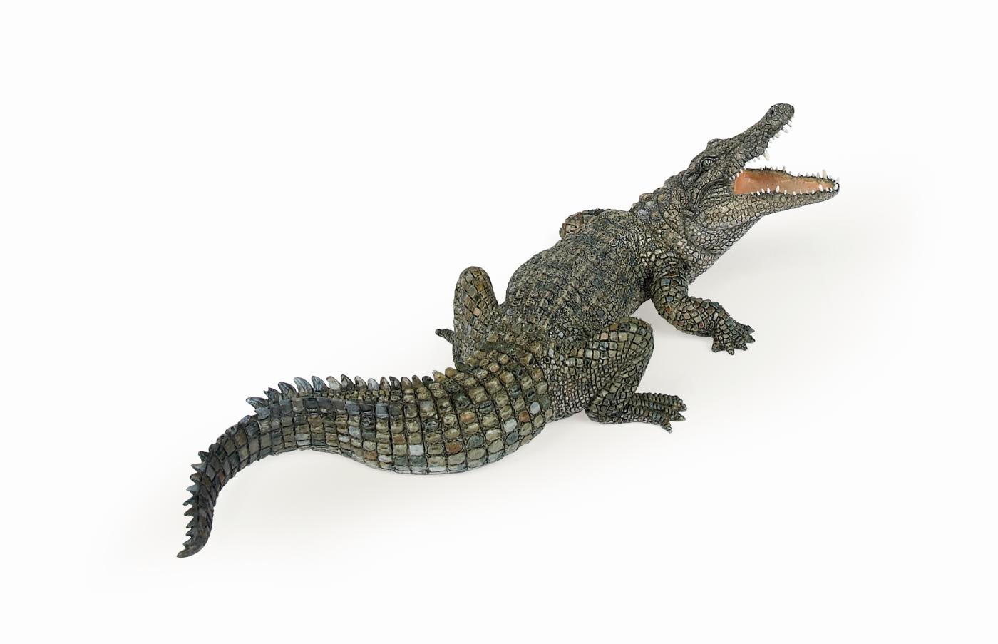 safari ltd crocodile