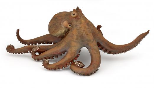 Papo 56013 octopus - animal figures at spielzeug-guenstig.de