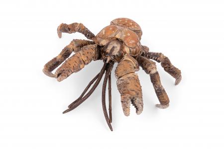 Papo Meereswelt: Papo Palmendieb 56020