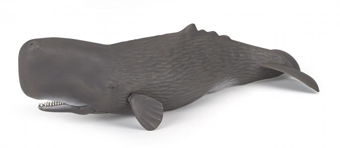 Papo Meereswelt: Papo Pottwal 56036