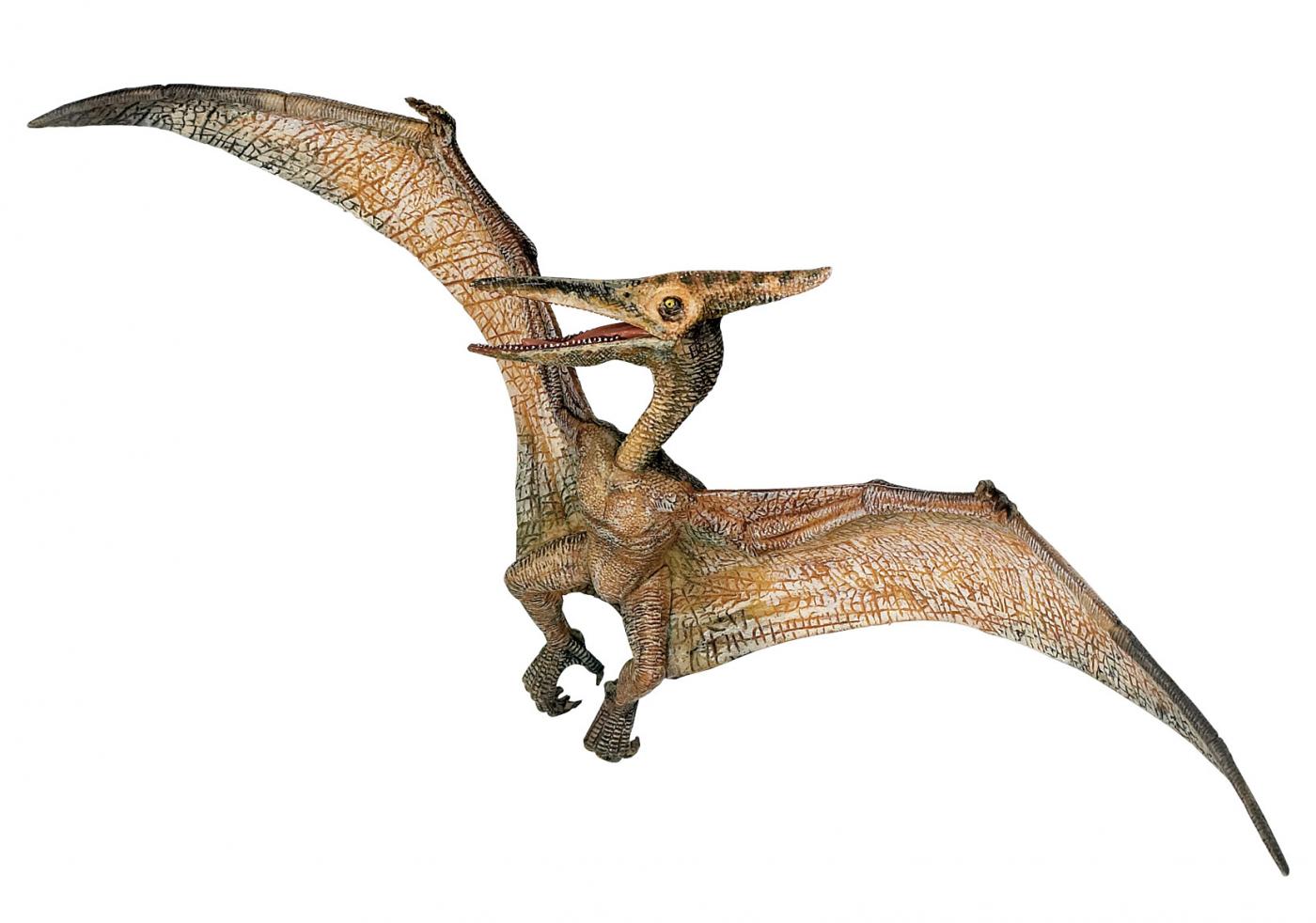 Papo Pteranodon 55006 ca.23.5x9cm