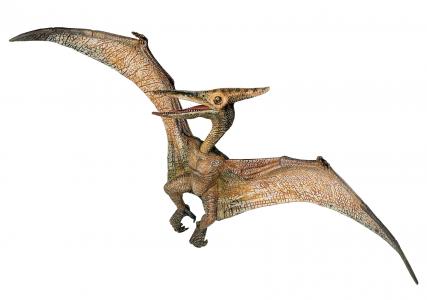 Papo 55006 Pteranodon - Tierfiguren - Figuren bei spielzeug-guenstig.de
