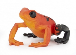 Papo Wildtiere der Erde: Papo Roter �quatorial Frosch 50193