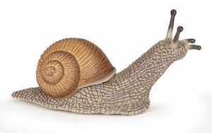 Papo Wildtiere der Erde: Papo Schnecke 50262