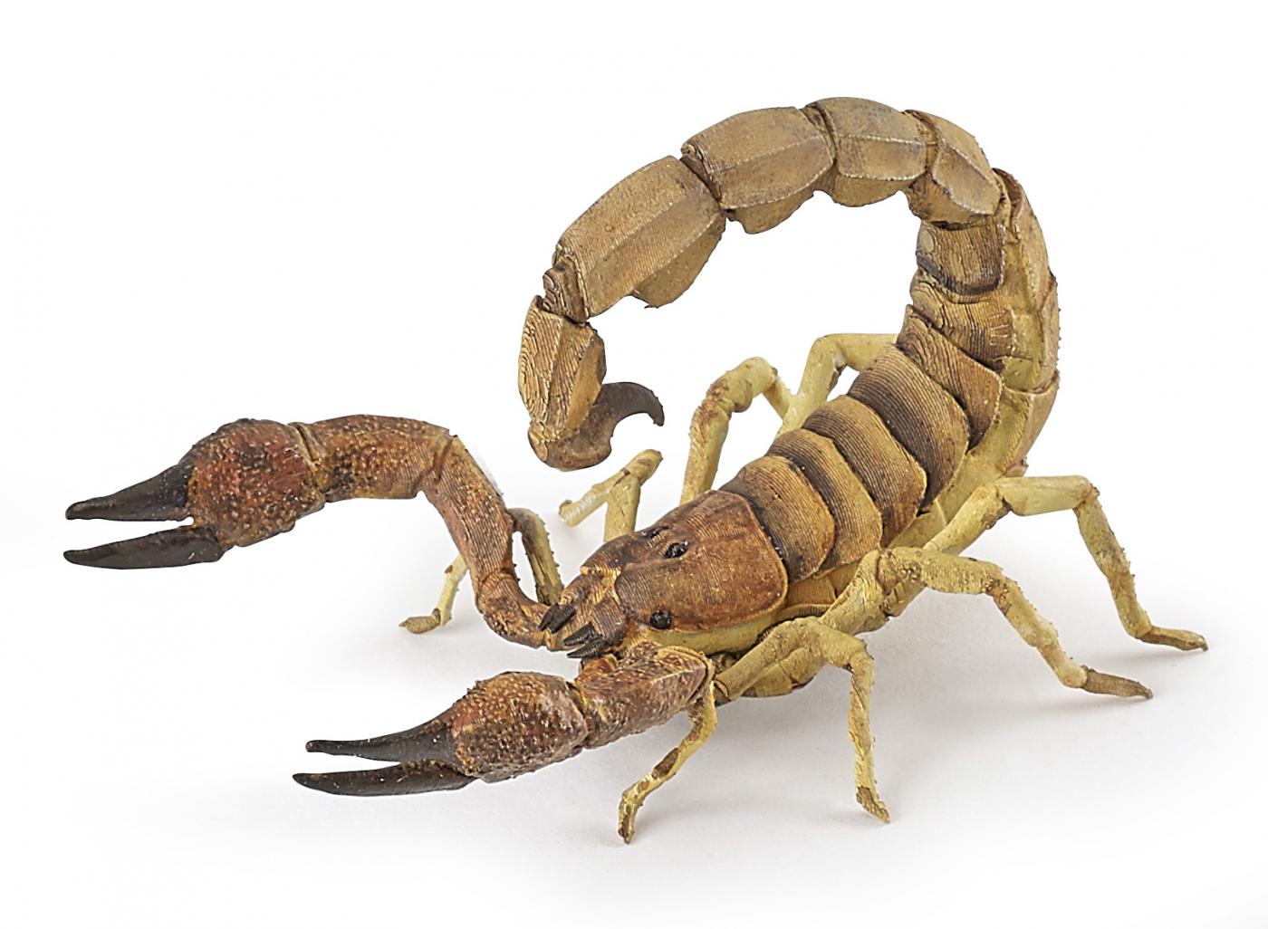 Papo Scorpio 50209