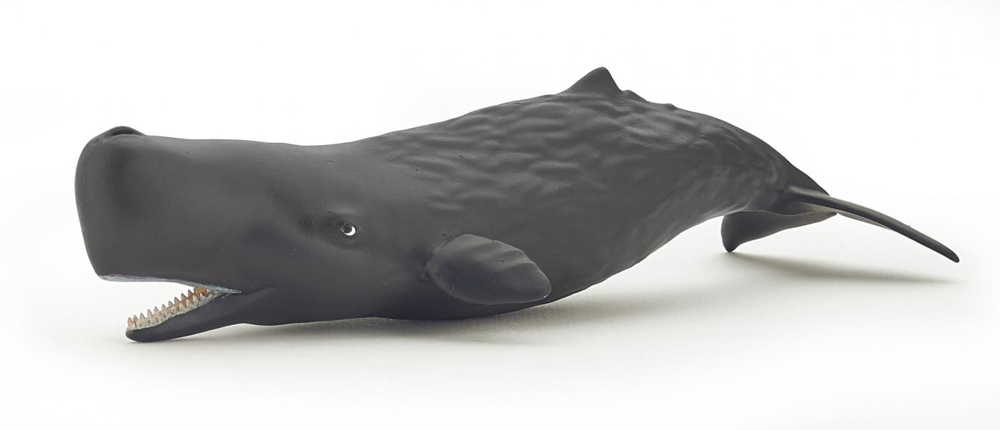 Papo Sperm Whale Calf 56045
