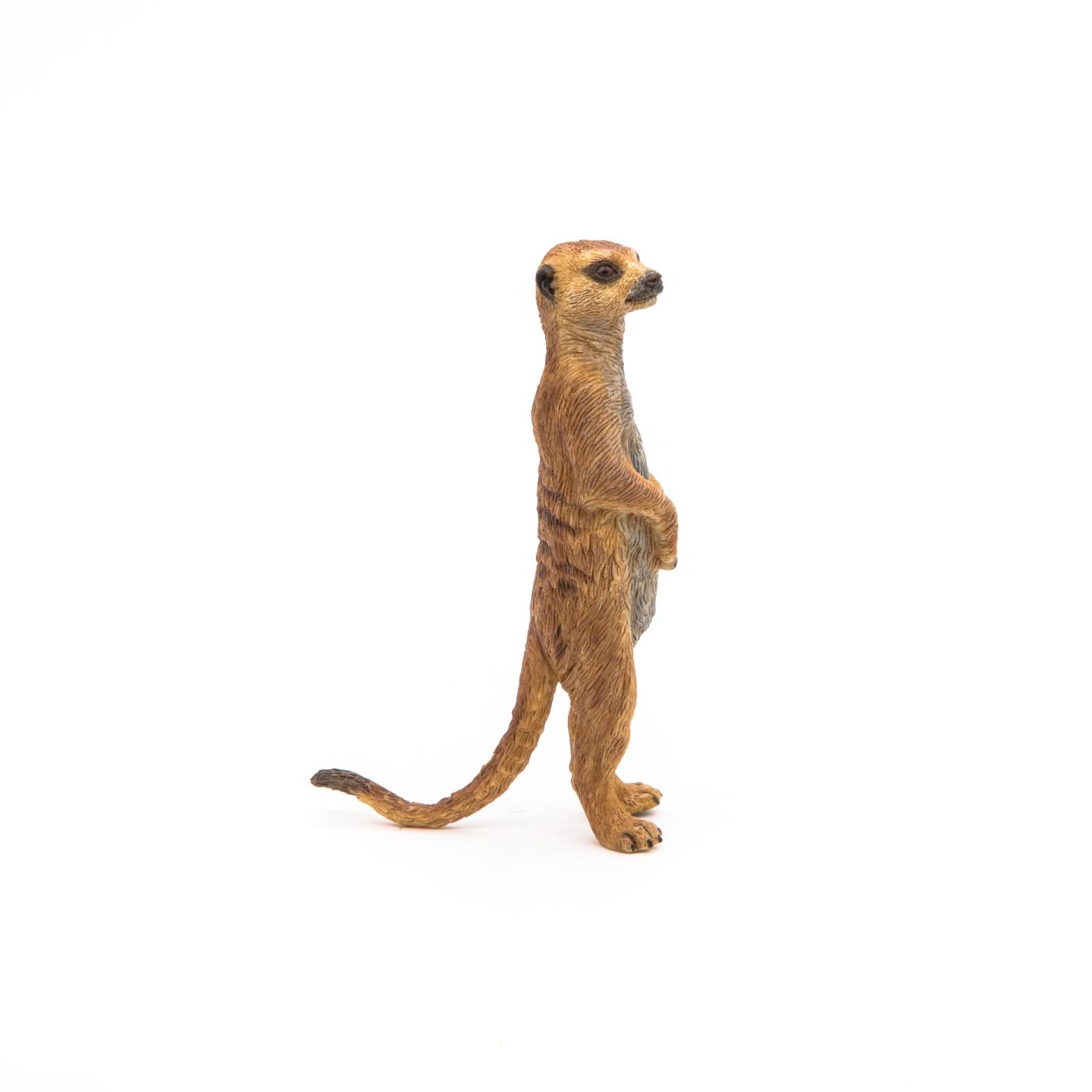 Papo Wildtiere Der Erde Papo Stehendes Erdm nnchen 50206 papo-wildtiere-der-erde-papo-stehendes-erdm-nnchen-50206