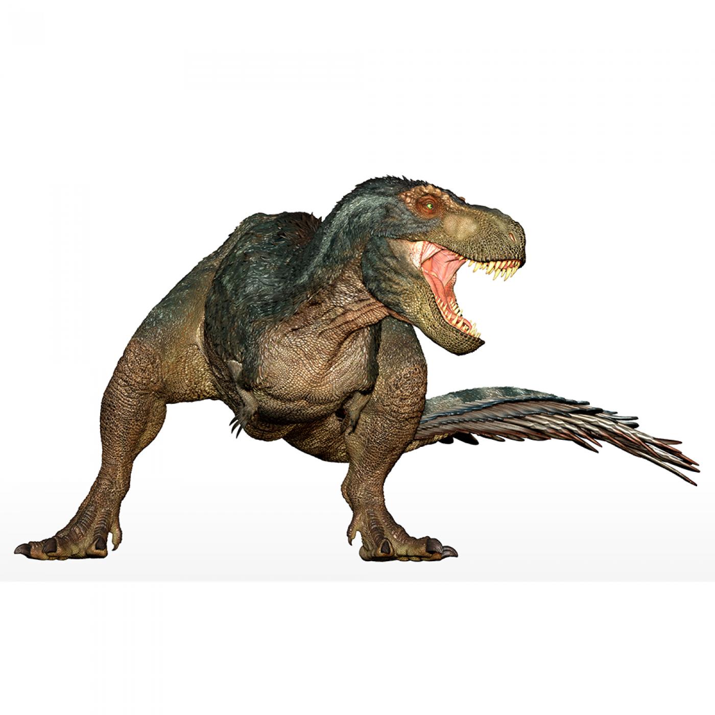 Papo T-Rex mit Federn 55102