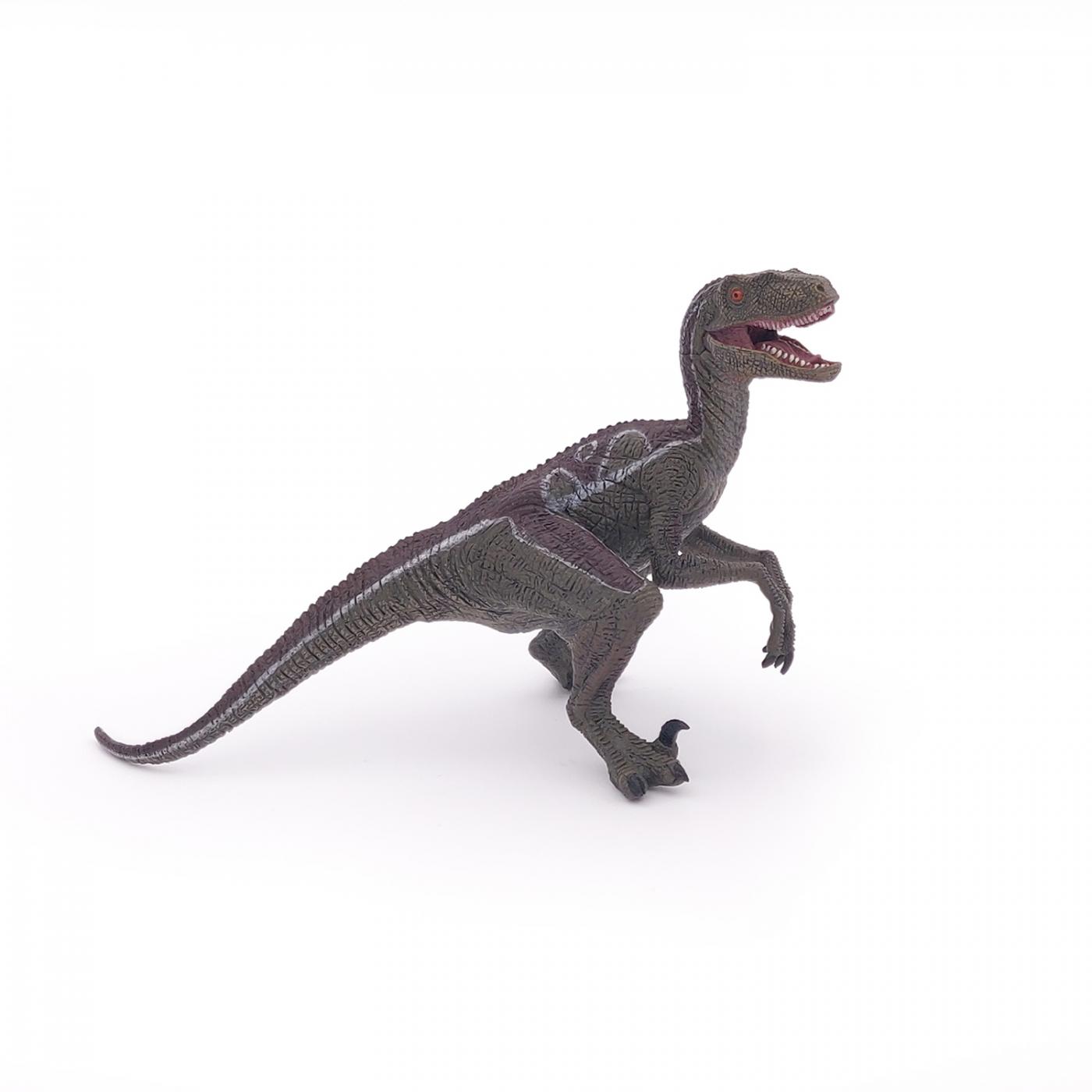 PAPO Velociraptor Figure 55023 Dinosaurs Collectable Toy Figure  Age 3+ 