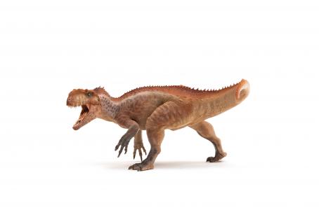 Papo Dinosaurier: Papo Yangchuanosaurus 55100