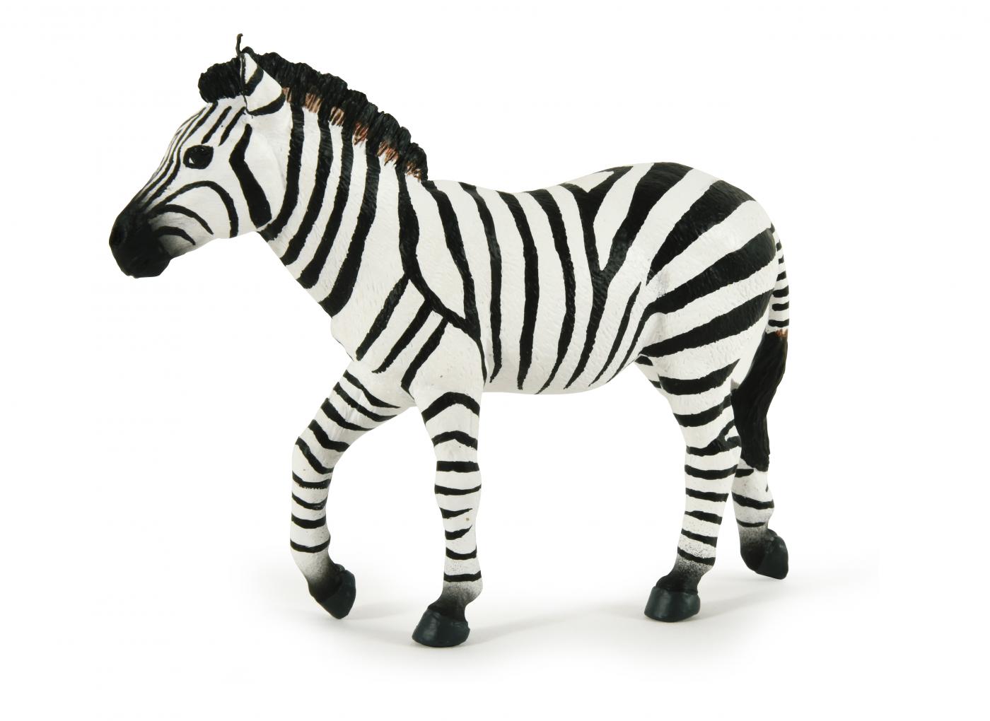 Papo Wild Animal Kingdom: Papo Zebra male 50249