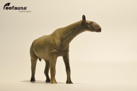 Paraceratherium 1:35 eo014