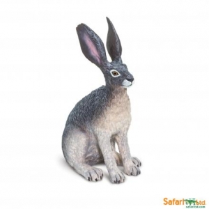 Safari Wildtiere: Safari Amerikanischer W�stenhase 82029