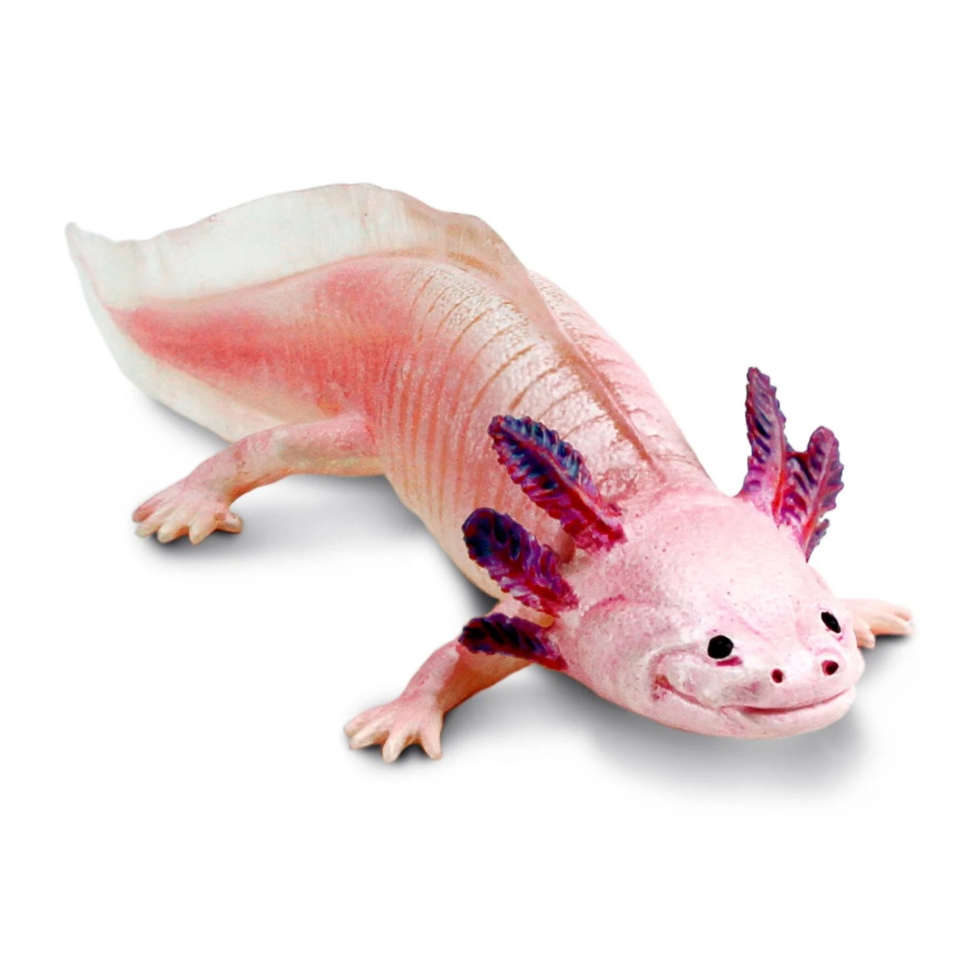 Safari Axolotl 104650