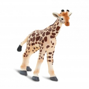 Safari Wild Life: Safari Baby giraffe 100422