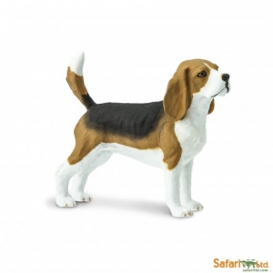 Safari Hunde Best in Show: Safari Beagle