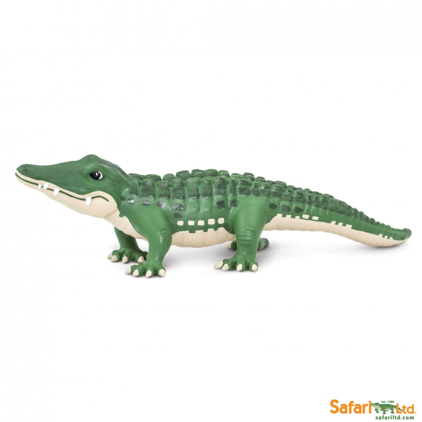Safari Bernie 229429