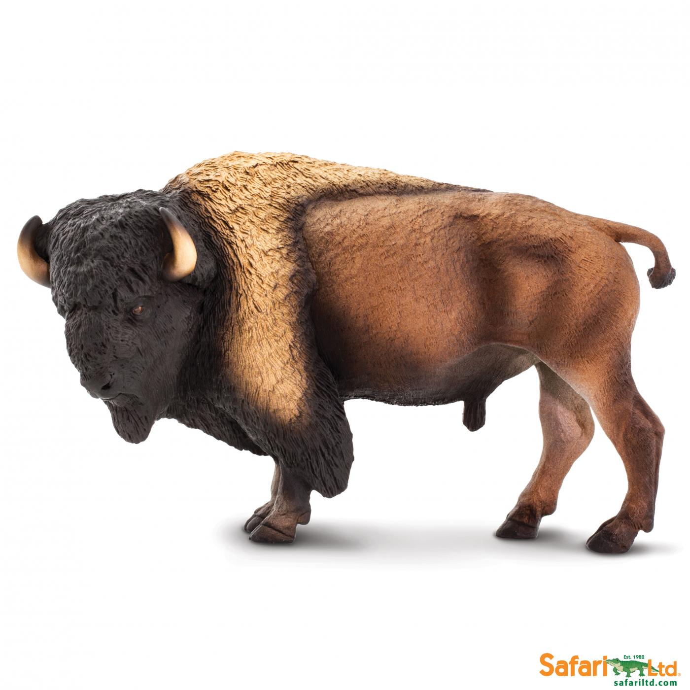 Safari Bison 100138