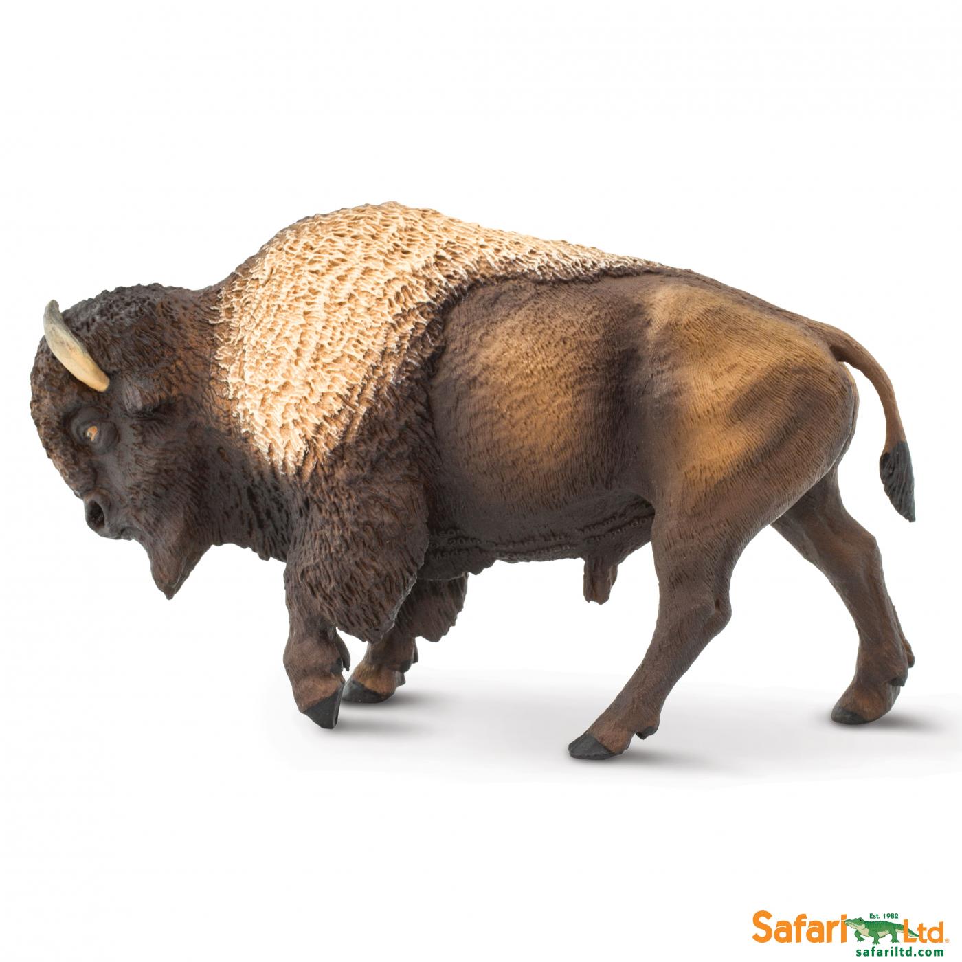 Safari Bison 100152