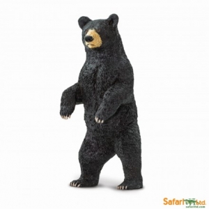 Safari Wild Life: Safari Black Bear 181629