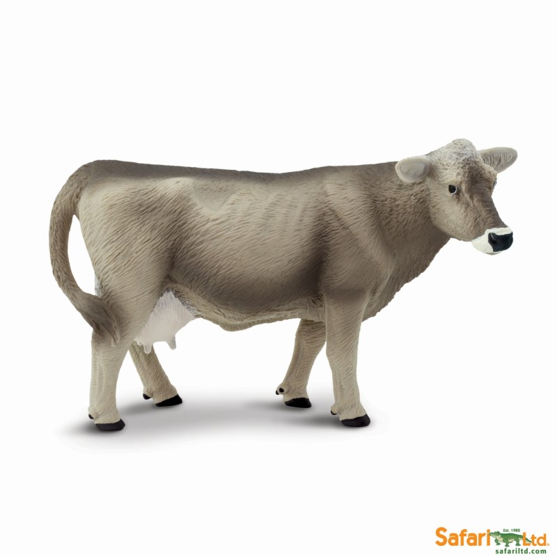 Safari Brown-Swiss Kuh 161529