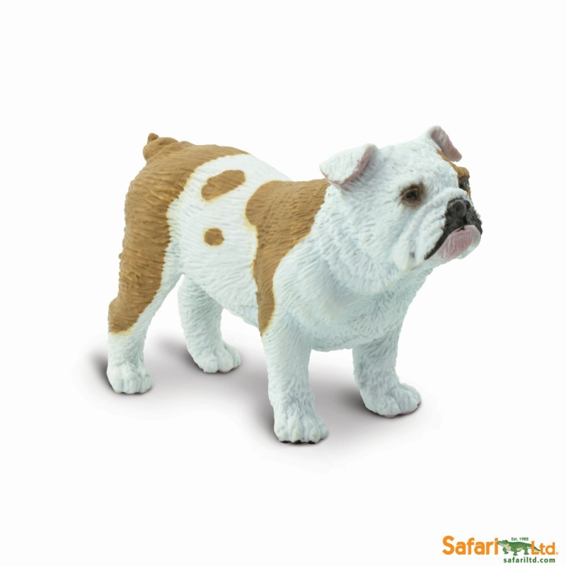 Safari Bulldog 250729