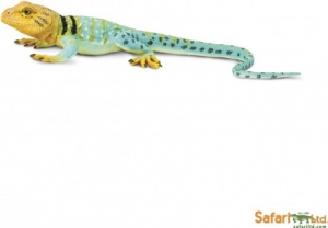 Safari Incredible Creatures: Safari Collared Lizard 271029