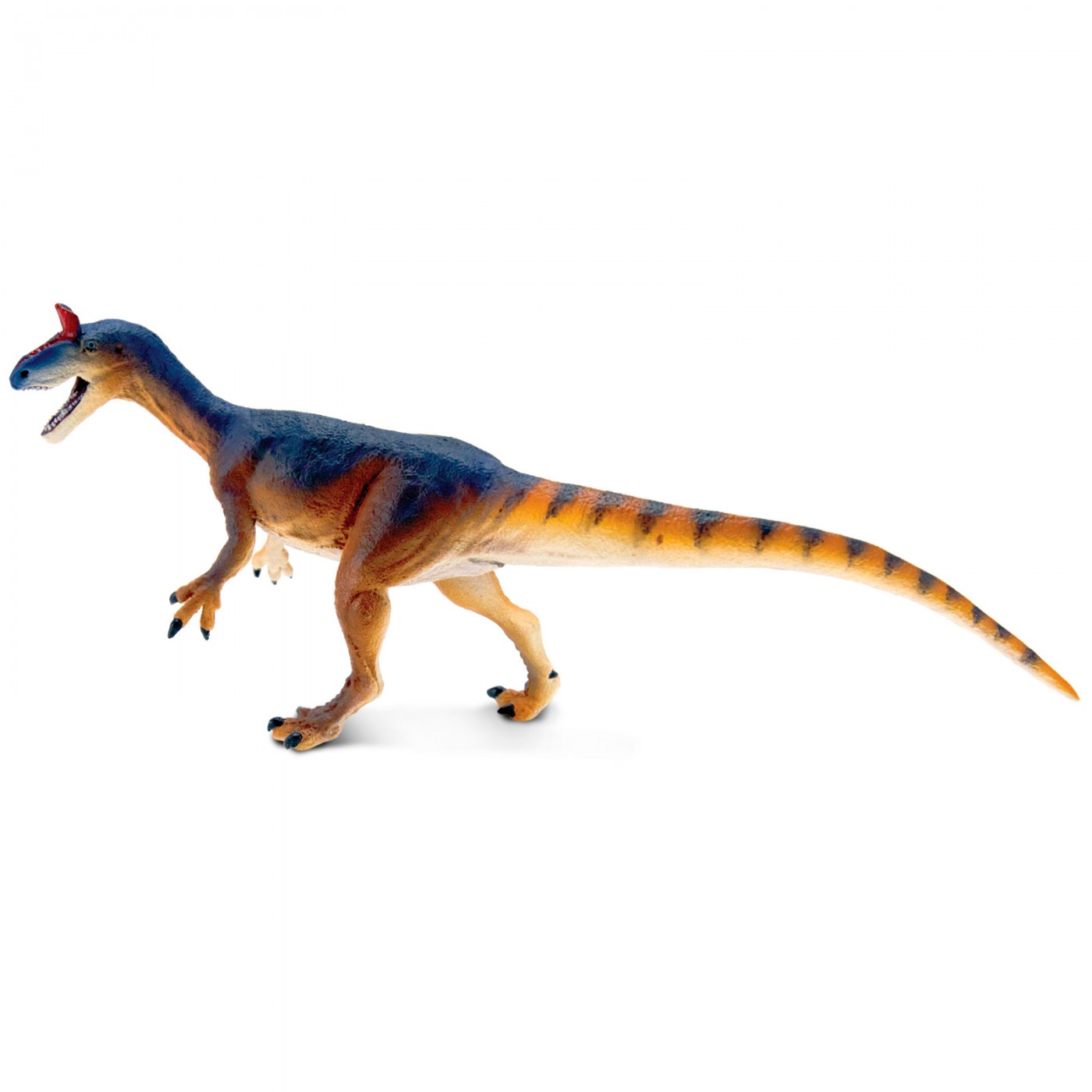 Safari Cryolophosaurus 100574