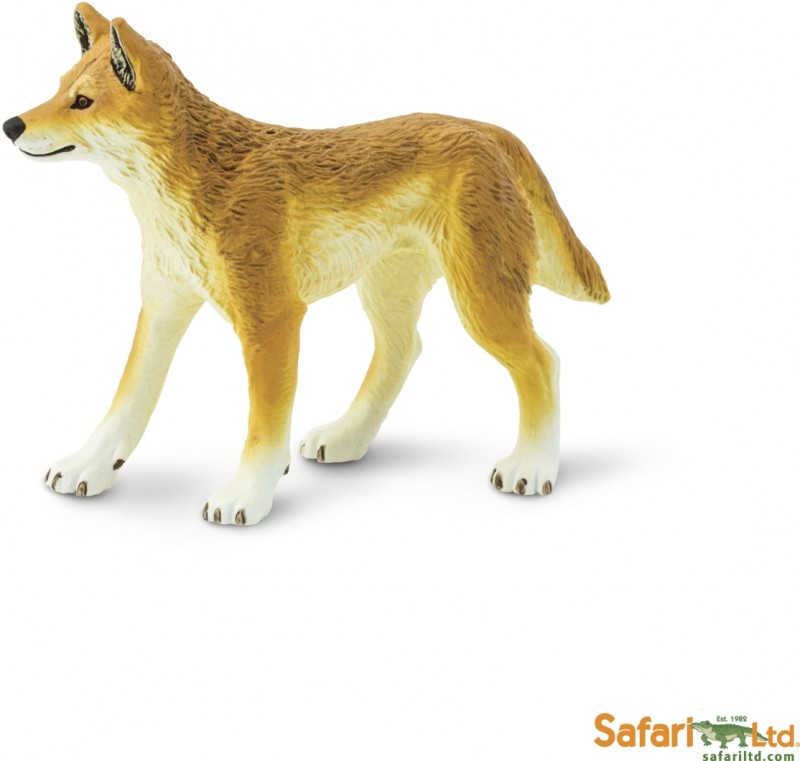 Safari Dingo 228229