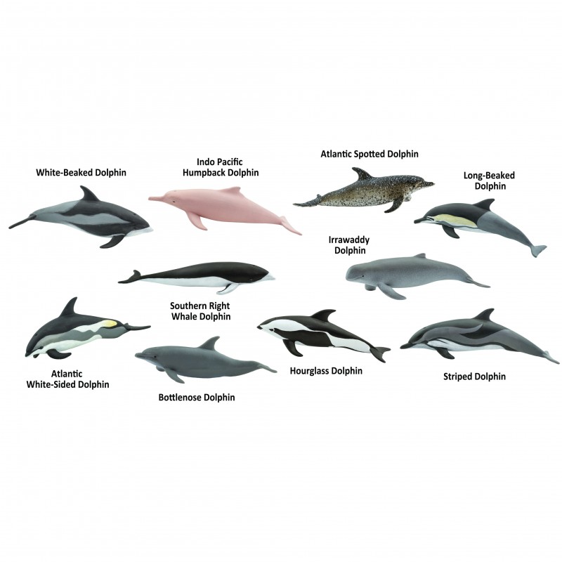Safari Dolphins 100475