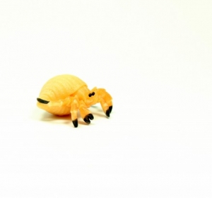 Safari Minifiguren: Safari Einsiedlerkrebs 3428e