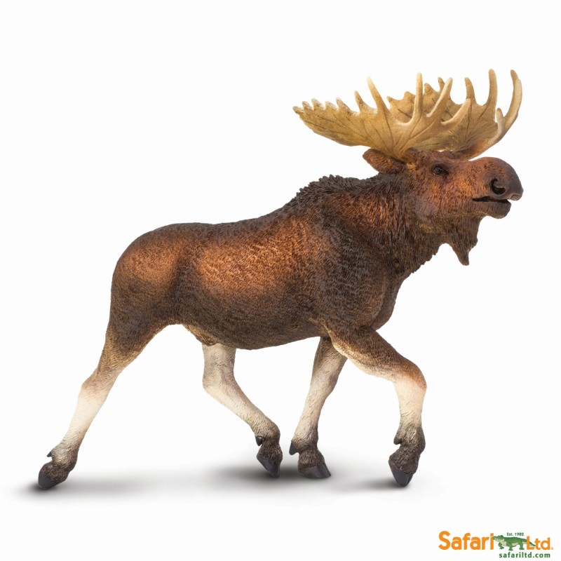 Safari Elch 113289