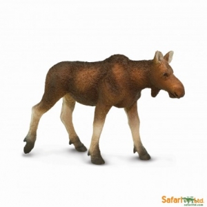Safari Elchkuh 1808 Waldtiere