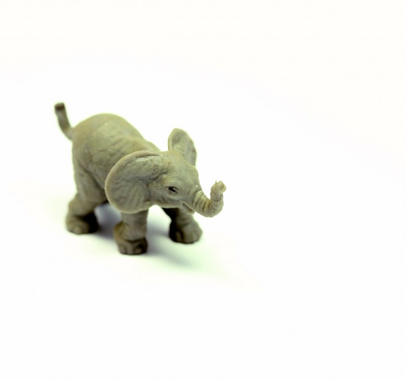 Safari Elefant 3402e