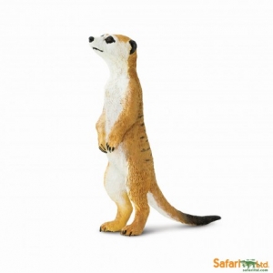 Safari Wildtiere: Safari Erdm�nnchen 224629