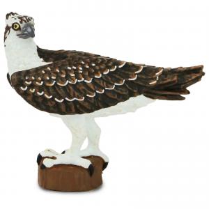 Safari V�gel Wings of the World: Safari Fischadler Spie