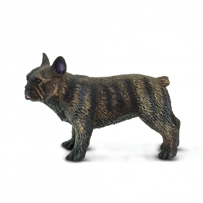 Safari Ltd 100304 Französische Bulldogge 7 cm Hunde und Katzen Neuheit 2019 