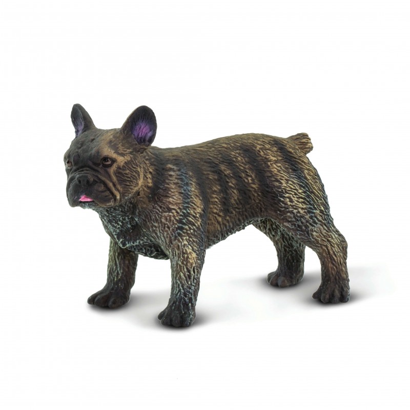 Safari French bulldog 100304