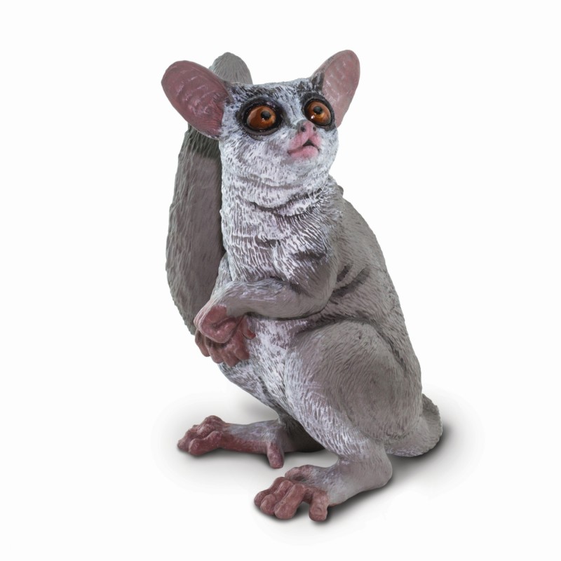 Safari Galago 100511