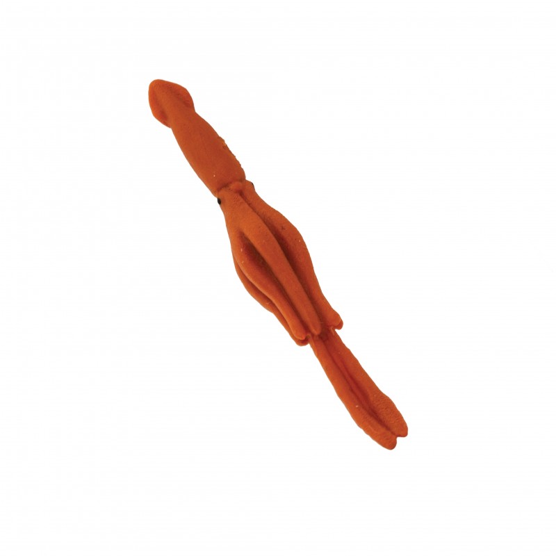 Safari Giant squid 100316